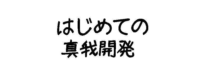 初めての真我開発